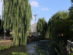 ホテルのすぐとなりが広瀬川
しだれ柳がいい感じの広瀬川を散策。

この広瀬川沿いに、先ほど敷島公園で見た「帰郷」の作者 萩原朔太郎の記念館などが有ります。

広瀬川散策と前橋3大ソウルフード第3弾は次回の旅行記で紹介します。
2025年10月29日 投稿