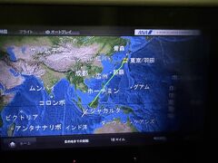 今回も定刻より少し早くにジャカルタ　スカルノハッタ空港に到着しました