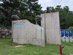 11：00　城崎マリンワールド。
水族館のテーマは、「水族館以上であること」。