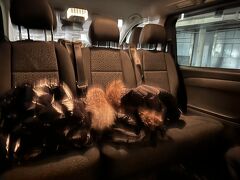 メルセデスのVクラスで乗り心地最高でした！