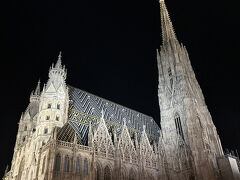 シュテファン大聖堂

すっごくきれいでした。
ヨーロッパってやっぱり素敵だなと。

この後、予約していたレストランに向かいます。
長い投稿になってしまったので、夕食からは次の旅行記にします。