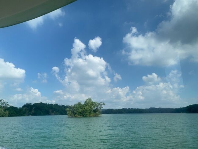 ダムを船で遊覧します