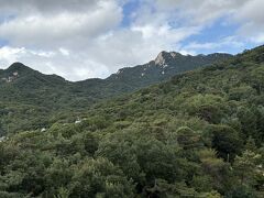 晴天。せっかくなので散策するぜ