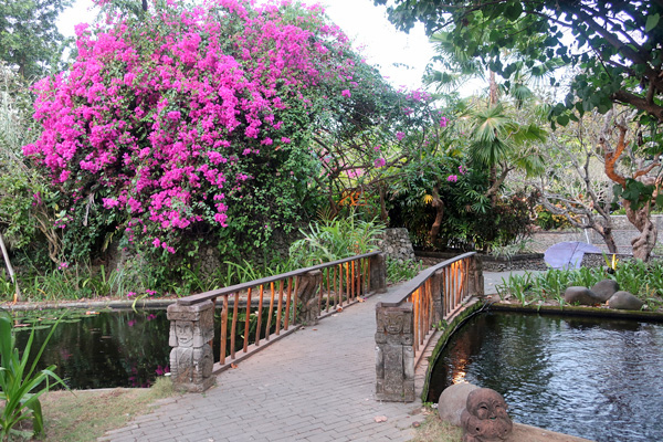 敷地いっぱいにホテル棟があるアンダーズと違い、ハイアットのほうは庭園がとても広いです。