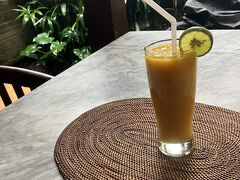 その後宿をチェックアウトし、
ホテルから紹介された道端の男にカーチャーターをたのむ。
13時発、途中ティルタガンガに寄る。
アメッドまで8000円。
安くはないが、クルックでも7000円した。
渋滞がひどいのでしょうがない。
ライステラスも断られ。
バリのドライバーはとにかくそこには行きたがらなかった。

チャーターの金を引き出すついでにランチ。
渋滞するから早く戻ってこいと言われ。
一瞬atmの前でスマホを落とした気がしてアドレナリンが上昇したが、無事。
アイス無しでマンゴーシェーク。
フィリピンよりも濃い味だ
氷が無い方がらしさはある気がする


ソトアヤムの食事を含めて1000円だった。
ソトアヤムはどうということのない味か。