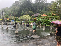 おしゃべり好きだったドライバーと
ティルタガンガへ。
雨は台風並みになったが、
ガッツで散策に出る。


宮殿というよりむしろ
実は思ったより楽しい場所で、
エンタメのようにも思えた。

入場料1000円
バナナ25円