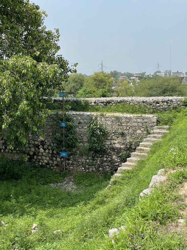 現在シルカップは、紀元前4世紀ギリシャ以前の都市からクシャン朝まで７層の都市跡が発掘されており、地上に現れている層は、上から2層目のパルティア時代のものが主となっています。