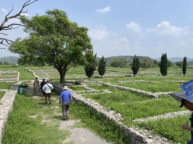シルカップのメインストリートを歩きます