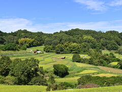 　　　本当に美しくて癒されます