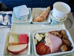 一番後ろ左B着席。搭乗後就寝。朝6時頃朝食。7時30分定刻20分遅れでセントレア、10分でぬけて8時15分名鉄乗車。なんとか9時5分帰宅、10時出社間に合う。次回10月いよいよインド！