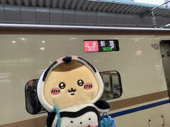 おはようございます。
本日は東京駅からときに乗って新潟に運ばれます。
２日目に水族館に行く予定なので、お供のくりまんじゅう先輩も水族館仕様でペンギンの着ぐるみを着ております。