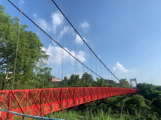 青空に映えました