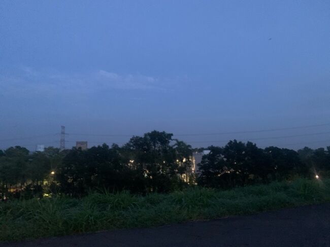 建物がいくつかあります