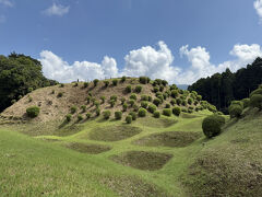 櫓などは残っていませんが、戦国時代の遺構がそのまま残されています
特に障子堀は壮観です