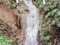 中社まで降りてきました。バスには乗れなかったので頑張って歩きましたよ。
