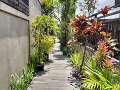 ヴィラルームへ戻る 屋上の道
今日は日差しが強い。