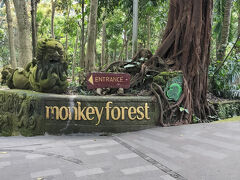 朝食後、お部屋で寛いだら
徒歩で行ける 観光場所 モンキーフォレストにやってきました。