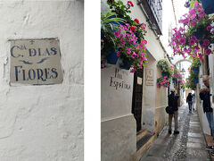 花の小径に着きました。