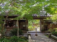 1時間半ほど三千院を鑑賞したが、凄くゆったりした予定をひいていたので時間が余ってしまった。
そこで三千院の少し奥にある宝泉院に伺う事にした。
拝観料は大人一名600円。抹茶付きだと900円。
自分達は昼食の事を考えて抹茶なしにしたが、抹茶付きが断然お薦め。