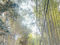 そして嵐山にきたらこの竹林は必須。有名ですよね。ここは一度来ておかないと。