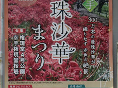 「第18回幸手曼殊沙華まつり」の開催中です。

