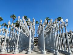 ロサンゼルス・カウンティ美術館
Los Angeles County Museum of Art