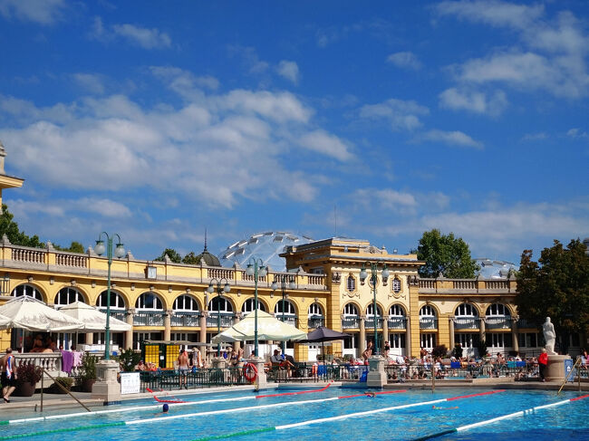 水泳が出来るプールもありました。