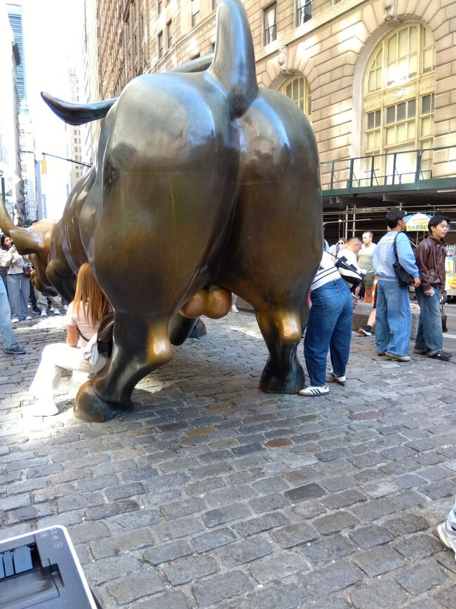 下船後はウォール街にあるチャージング・ブルへ。<br />なぜか正面ではなく、後ろ姿を撮るための行列が。<br />皆さん、タマタマを触りながら写真を撮ってました（笑）。
