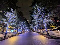 横浜みなとみらいでSPY×FAMILYイベント巡り。
グランモール公園から散策開始。
イルミネーションがキレイ。