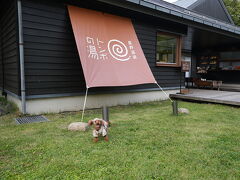 トンボの湯まで。
普段はお散歩嫌いなわんこも良く歩きました！