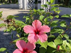 亜熱帯植物園の宮交ボタニックガーデン青島