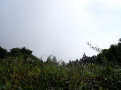 9：00、小仏城山の山頂に到着。標高670ｍ。
城山の方はすっかりガスって眺望なしでした。
