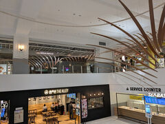 横浜ハンマーヘッドはホテルから散歩に丁度良い距離感

1階のラーメンコートは閉店が目立っていました