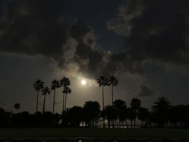 満月がお見事！！