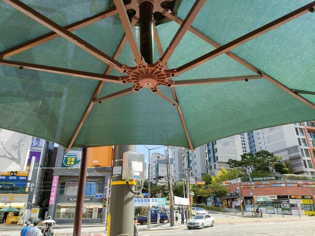 韓国はところどころ横断歩道に大きなパラソルが設置されてるところがある！夏助かる！