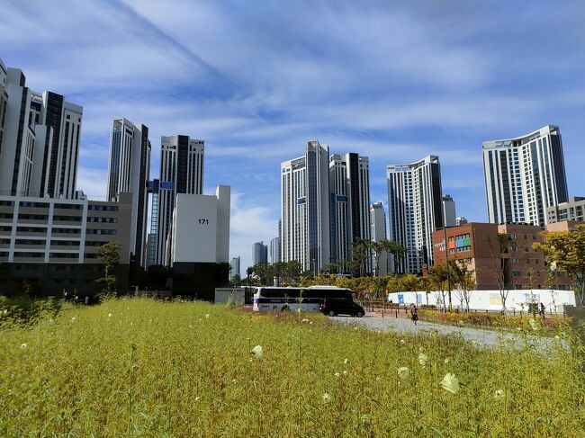 江南はあまり来たことがないので新鮮です。<br />江南と言えば江南スタイルしか思い浮かばない笑