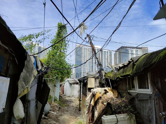 高層ビルとの対比がすごい(語彙力)