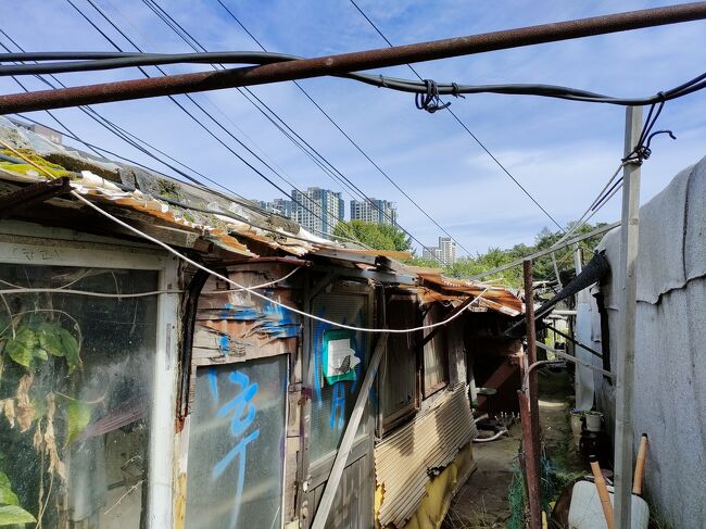 バラックが立ち並んでいます。<br />この辺りはもう人が住んでないエリア。