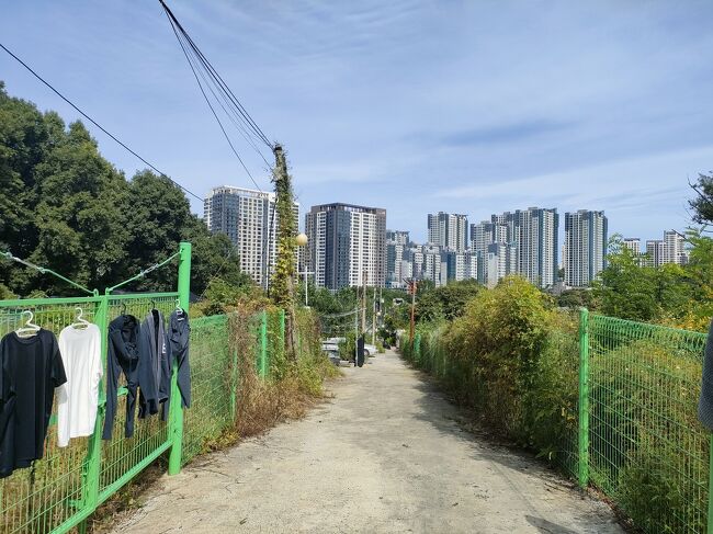 九龍村の奥まできました。<br />この辺りは畑が広がっています。