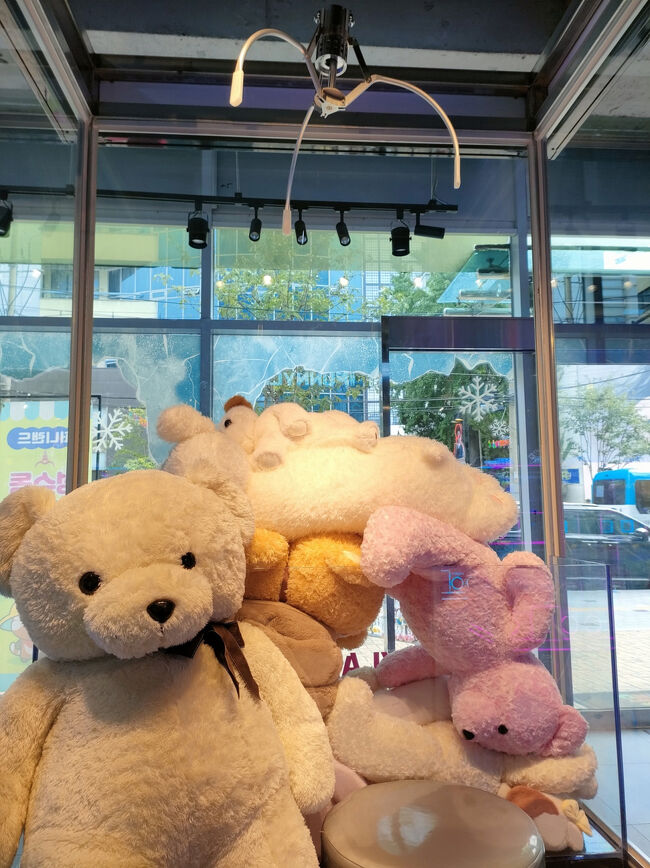 撮影スポットがあるのが韓国っぽ