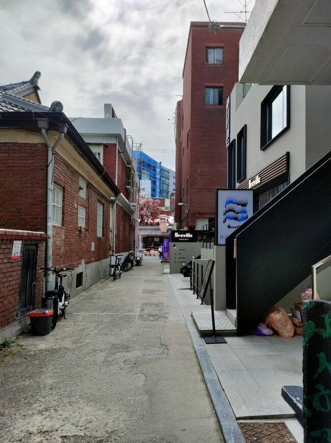 どこもかしこも混んでいる！<br />聖水はもう離れよう～でもその前にカフェだけでも入りたい～とぐるぐる散策し、