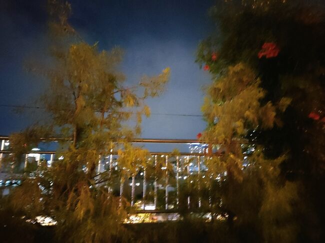 ちょっとブレちゃってますが、お庭からは夜景が綺麗に見えました。