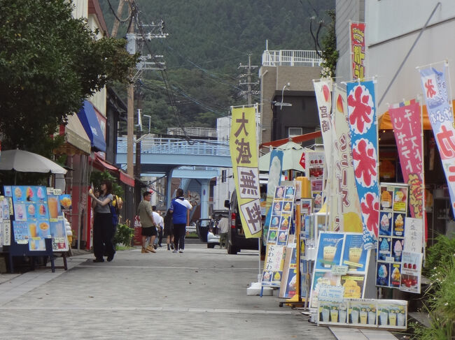 参道の商店<br />土産物店は無なり<br />がらり変わりました<br />マンゴー系人気<br /><br />昔は新婚旅行メッカ日南の青島