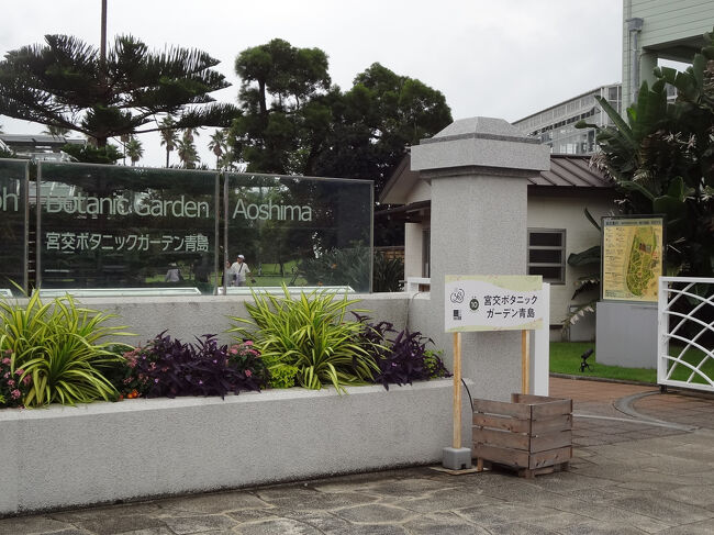 ガーデンブラリ<br />気持ちいい亜熱帯植物公園