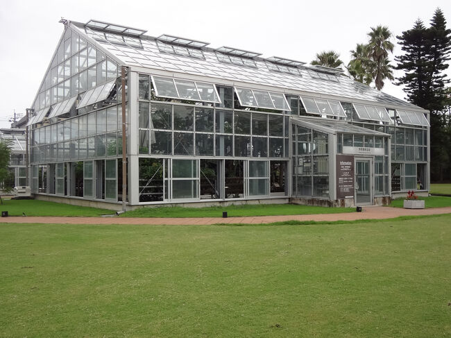 亜熱帯のこんなハウスも<br />点在して