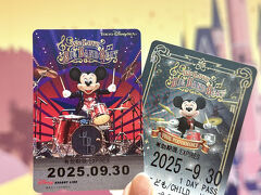 この日のTDSはアーリーで8:15開園。（ハッピーエントリーは8:00）
なんと8:03にはDPAは売切れだったとか。
つまり、ごくわずかなハッピーエントリーの人で売切れ、徹夜された一般入園の方は1人も買えなかったことに。朝から行って並ぶのはもう論外。

リゾートラインではBBBデザインのフリー切符を売っているので購入。
ゲートウェイステーションの券売機は大行列だったので、ベイサイドステーションに行ったらあっさりと買えました。
