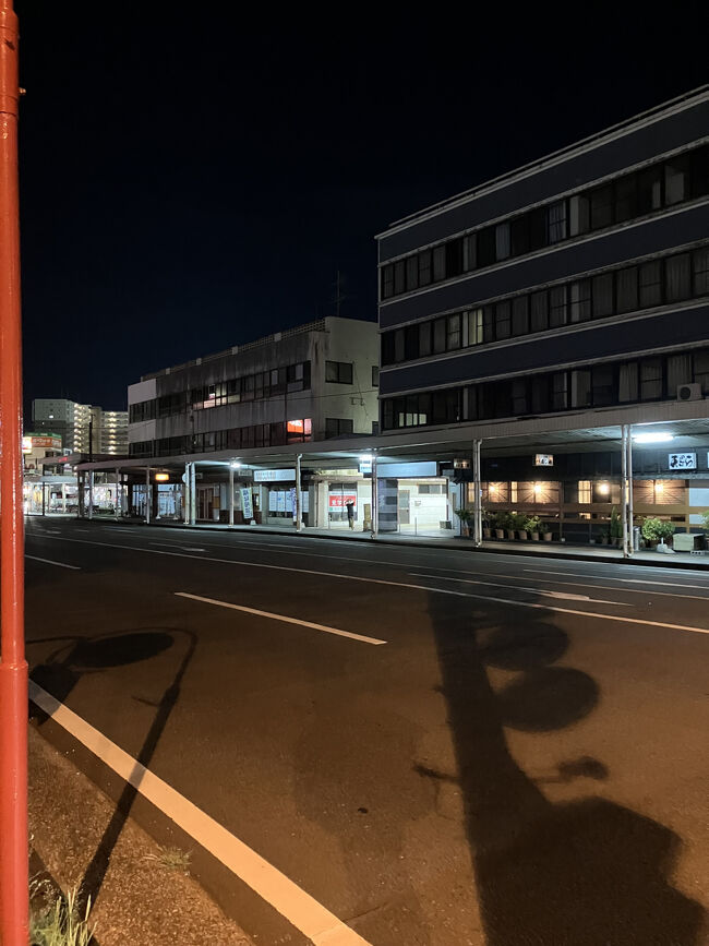 いつも日南線終電<br />女将さん、大通りまででて<br />見えなくなるまで<br />手を振ってくれる・・・（写真ど真ん中）<br /><br />ありがとう<br />いい旅させて頂いてるな<br /><br /><br />