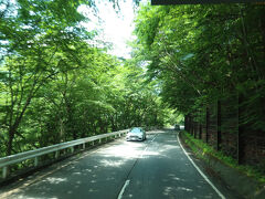 木々の緑が眩しいいろは坂をぐいぐい登っていきます。
オープンカーや車の窓を全開にして走ったら、
かなり気持ち良さそうです。