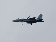 基地祭は8:50から始まります。自分は基地内に入らないで南千歳駅脇で撮影します。晴れると順光なんですが・・・霧雨状態です。

まずはF15のローパスからです。