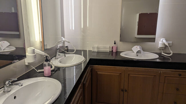 シャワー＆歯磨きしてから共有スペースでスマホしてたらバングラデシュ人の男の子が食べてたフルーツ勧めてくれた。<br />「ありがとう。でも歯磨きしちゃったから」って遠慮したんだけど、熱心に勧めてくれるのでブドウ1粒だけいただいた。<br /><br />ホステルの水回りはシャワーとお手洗いが分かれていて、ドライヤー完備<br />ペーパータオル設置<br />お掃除も行き届いててきれいだった。<br />